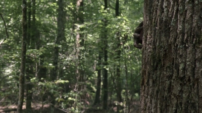 Click to view full size image
==============
twd1001_1518.jpg twd1001_1518.jpg