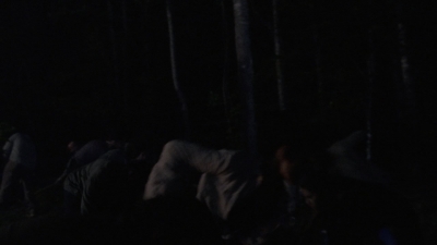 twd1001_1831.jpg