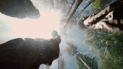 twd1001_1947.jpg