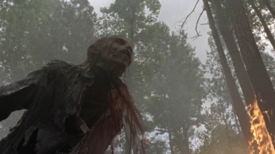Click to view full size image
==============
twd1001_1987.jpg twd1001_1987.jpg