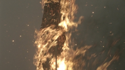 twd1001_2005.jpg