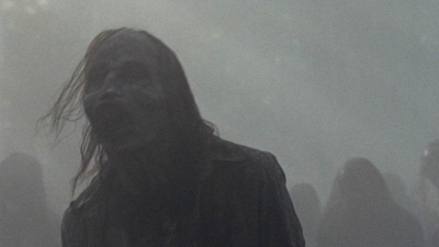 twd1001_2013.jpg