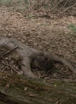 twd1001_0568.jpg