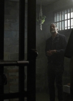 twd1001_1129.jpg