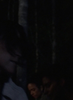 twd1001_1843.jpg