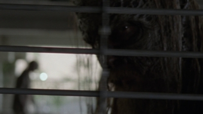 twd1002_0570.jpg