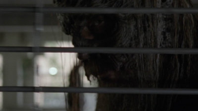twd1002_0571.jpg