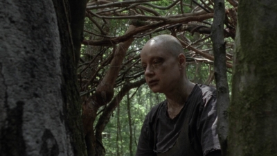 twd1002_0750.jpg