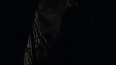 twd1002_0865.jpg
