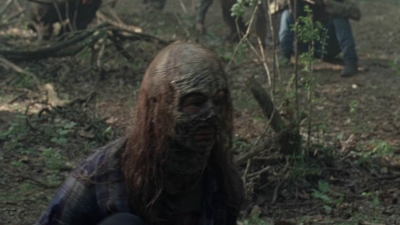 twd1002_1013.jpg