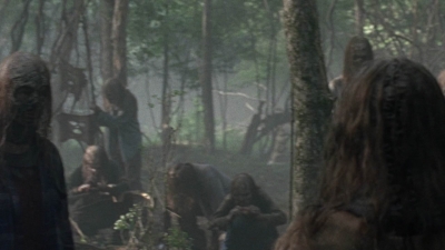 twd1002_1020.jpg