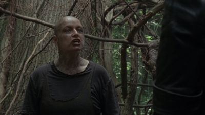 twd1002_1069.jpg