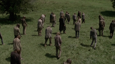 twd1002_1440.jpg