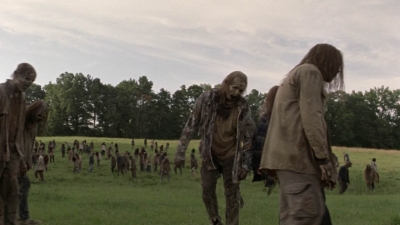twd1002_1498.jpg