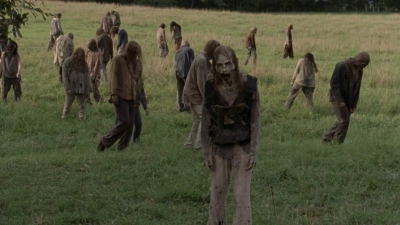 twd1002_1521.jpg
