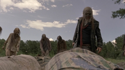 twd1002_1563.jpg