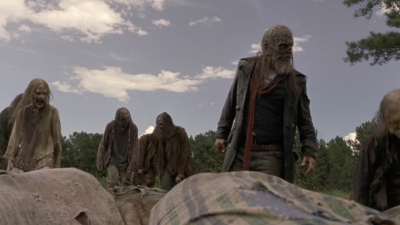 twd1002_1564.jpg