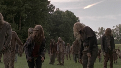 twd1002_1572.jpg