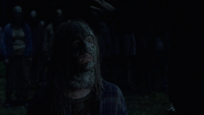 twd1002_1812.jpg
