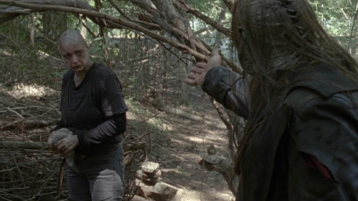 twd1002_2071.jpg