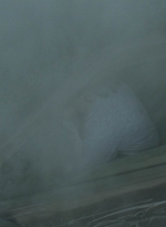 twd1002_0015.jpg