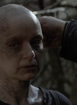 twd1002_0150.jpg