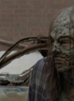 twd1002_0271.jpg