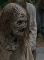 twd1002_0288.jpg