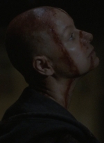 twd1002_0462.jpg