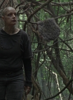 twd1002_1086.jpg