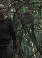 twd1002_1087.jpg