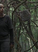 twd1002_1088.jpg