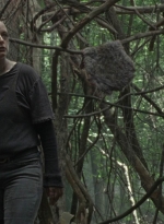 twd1002_1089.jpg
