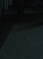 twd1002_1117.jpg