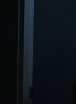 twd1002_1131.jpg