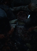 twd1002_1205.jpg