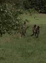 twd1002_1452.jpg