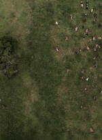 twd1002_1486.jpg