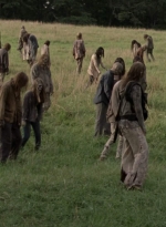 twd1002_1511.jpg
