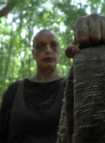 twd1002_1528.jpg