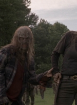 twd1002_1567.jpg