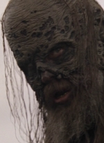 twd1002_1568.jpg