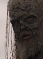 twd1002_1569.jpg