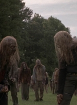 twd1002_1571.jpg