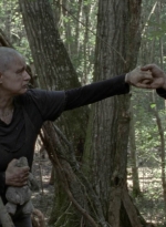 twd1002_2082.jpg