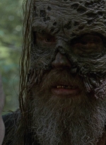 twd1002_2095.jpg