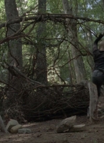 twd1002_2126.jpg
