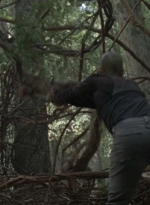 twd1002_2128.jpg