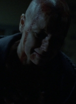 twd1002_2271.jpg
