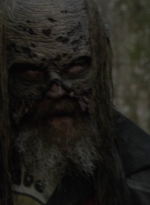 twd1002_2338.jpg